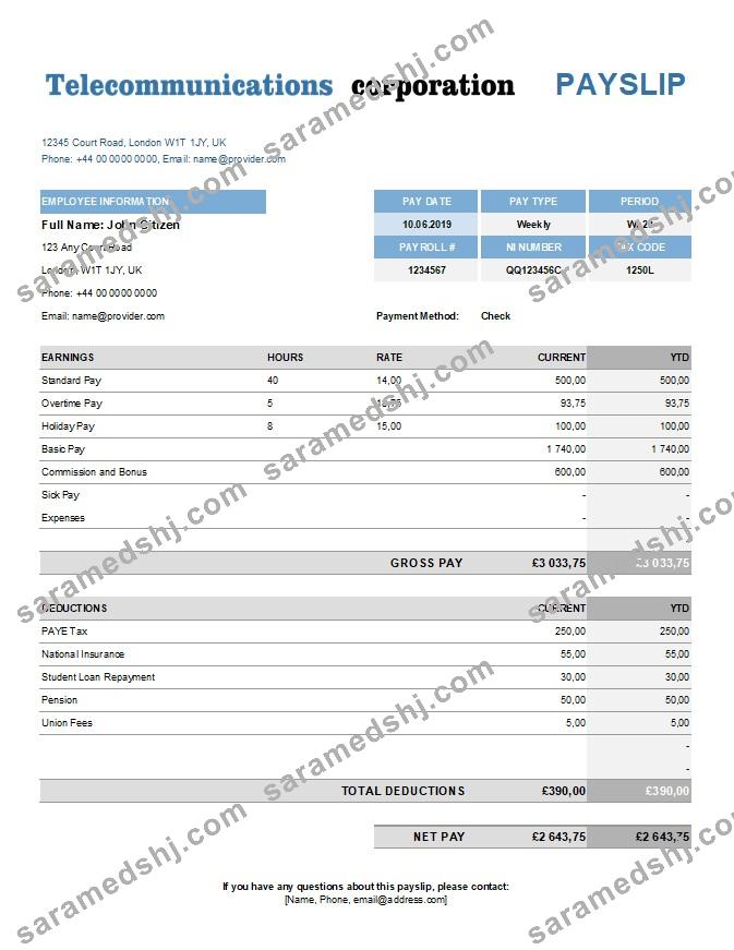 telecommunications_corporation_earning_statement_in_Excel_and_PDF